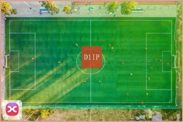 D1IP