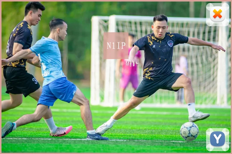 N1IP