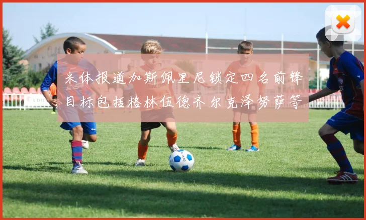 米体报道加斯佩里尼锁定四名前锋目标包括格林伍德齐尔克泽努萨等人